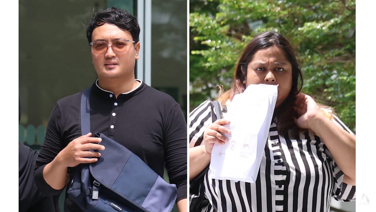 Duo charged over alleged neglect of 71 cats; 9 died in Bukit Panjang flat