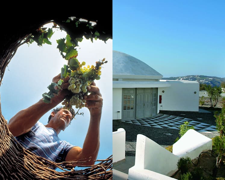 Gods and grapes: Exploring the wines of Greece