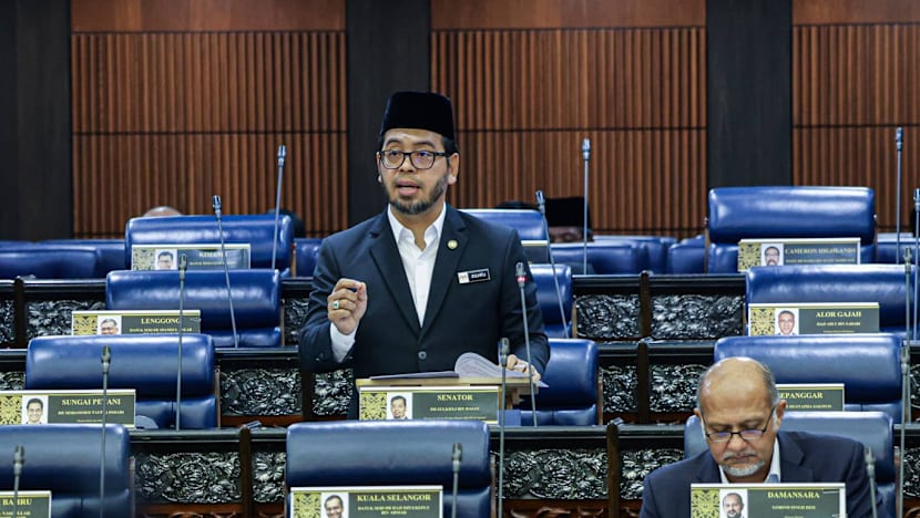 Malaysians lampoon minister over stress-gay link: ‘They never work hard in parliament?’