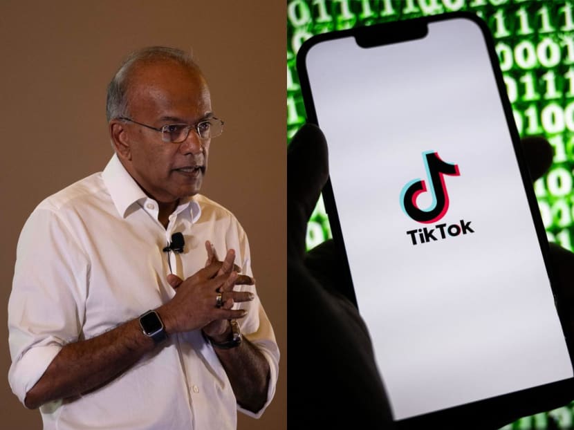 Mr K Shanmugam (left), Singapore's Law and Home Affairs Minister, has been looking to get basic information on TikTok users who posted what he said were false statements against him.