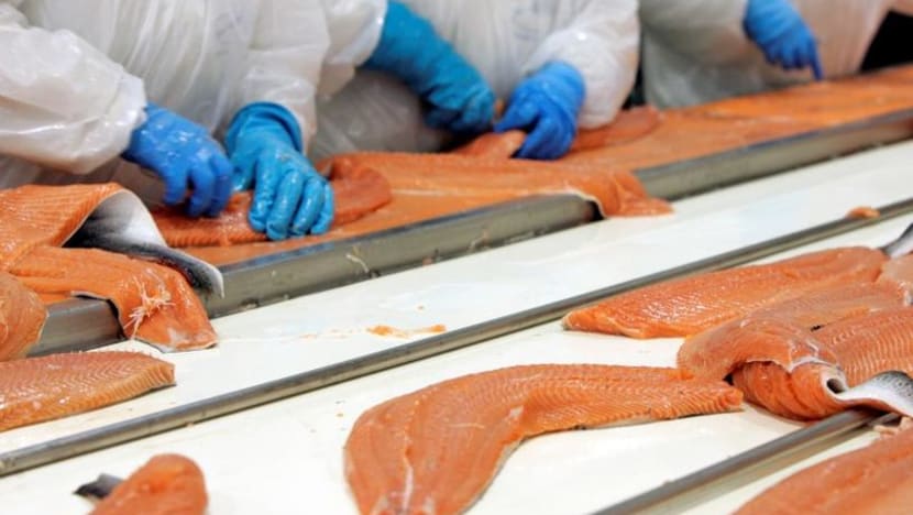 Most Norwegian salmon in Singapore safe to consume, say industry players after batch recall
