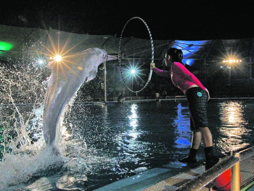 Underwater World closure plan draws flak from animal lovers