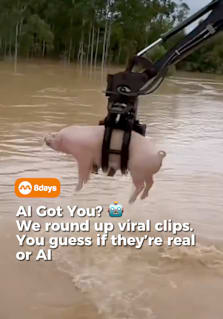 AI is getting harder to spot than ever. From pigs rescued with an excavator and mountain-climbing goats to Cristiano Ronaldo tributes and dogs skipping rope, can you tell which viral videos are real and which were created using artificial intelligence? Test yourself before the reveal—and learn the proof behind each one! 🤖 #8dayssg #8dayssgtrending #AI #ArtificialIntelligence #AIGotYou