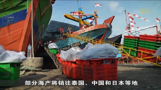 燃油价格高企 印尼渔民被迫减少出海收入受冲击
