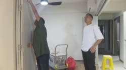 Related article image