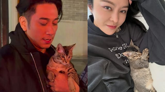 猫咪成红娘？吴卓羲、张曦雯疑假戏真做传恋情！