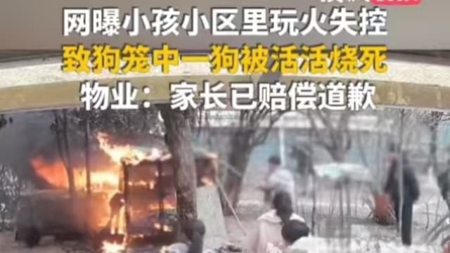 江苏孩童玩火酿祸 引燃狗舍烧死笼中犬