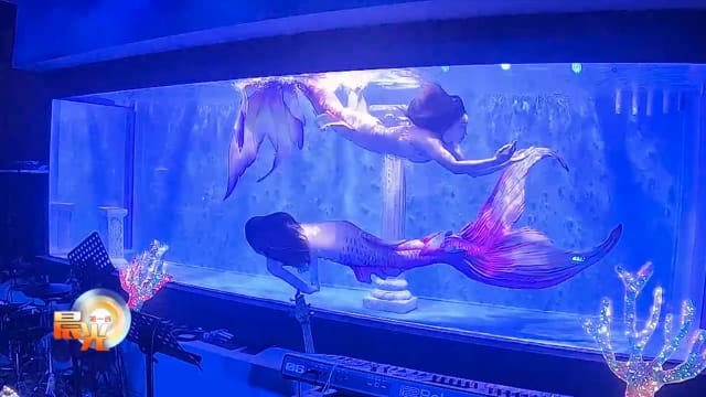 每周精选：童话成真？本地餐吧主打美人鱼表演