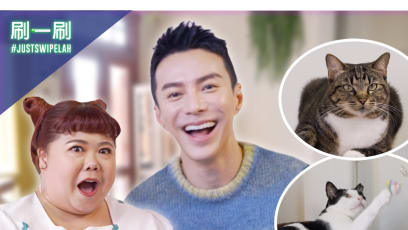 Xixi Lim chats with Lawrence Wong at a cat café A