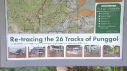 Related article image