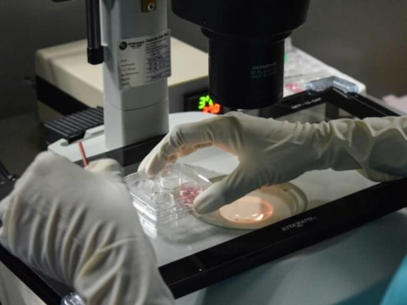 White Paper on Women’s Development: Women can undergo elective egg freezing regardless of marital status