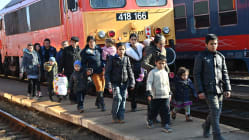 Related article image