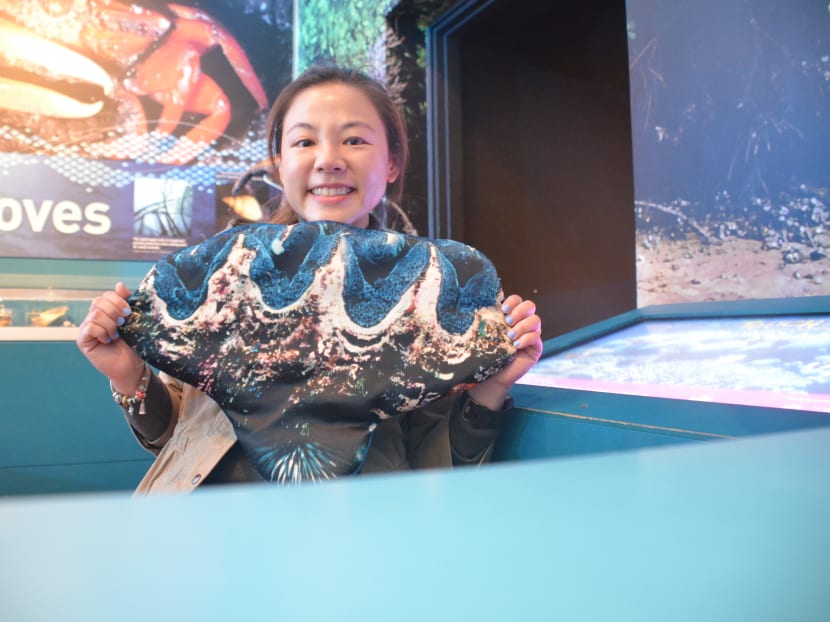 The author with a giant clam cushion at the Western Australia Museum. In her 15 years researching giant clams, she has experienced self-doubt which led to question her decisions to get a doctorate degree and pursue a career in science. The author with a giant clam cushion at the Western Australia Museum. In her 15 years researching giant clams, she has experienced self-doubt which led to question her decisions to get a doctorate degree and pursue a career in science.