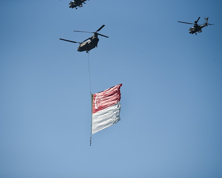 National Day Parade 2023 to be held at the Padang: Ng Eng Hen