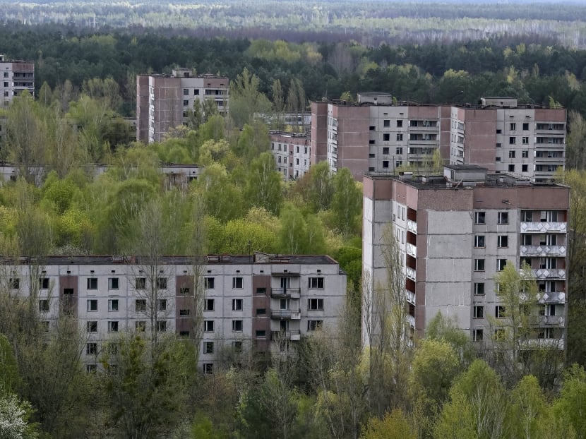 Chernobyl zone turns into testbed for Nature’s rebound