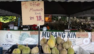  Harga durian sudah mula naik lagi