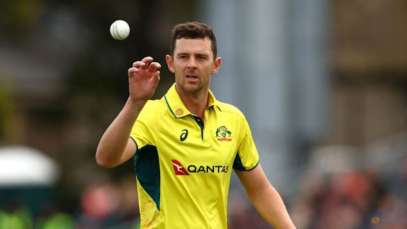 Australia's Hazlewood 'on track' to start T20 World Cup after Ashes absence