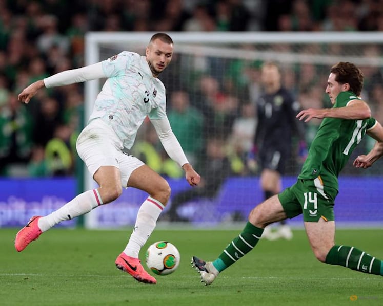 Ireland v Austria game briefly halted by Stop the Game protesters
