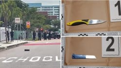 Related article image