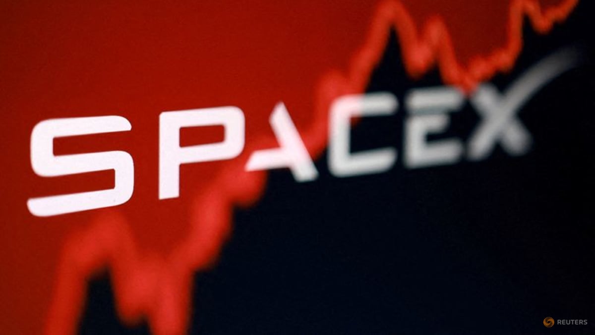 Commentary: Why SpaceX, Samsung, Hynix are becoming meme stocks