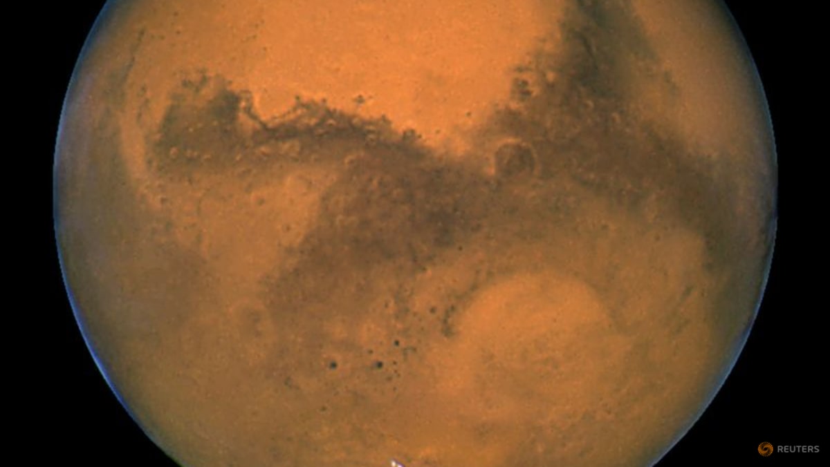Ancient Martian Meteorite Found in Sahara Dates Back 4.1 Billion Years