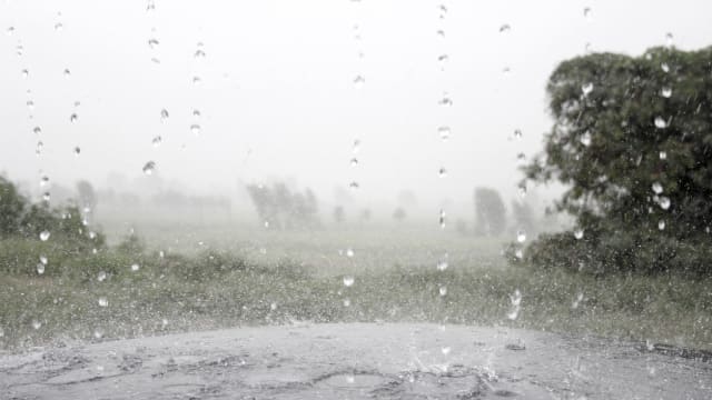 巴西里约热内卢暴雨成灾 至少11人死亡