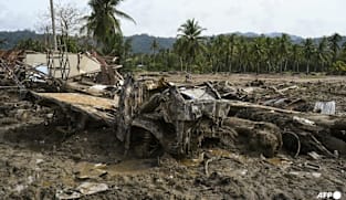 Indonesia revokes permits of 28 firms after deadly floods