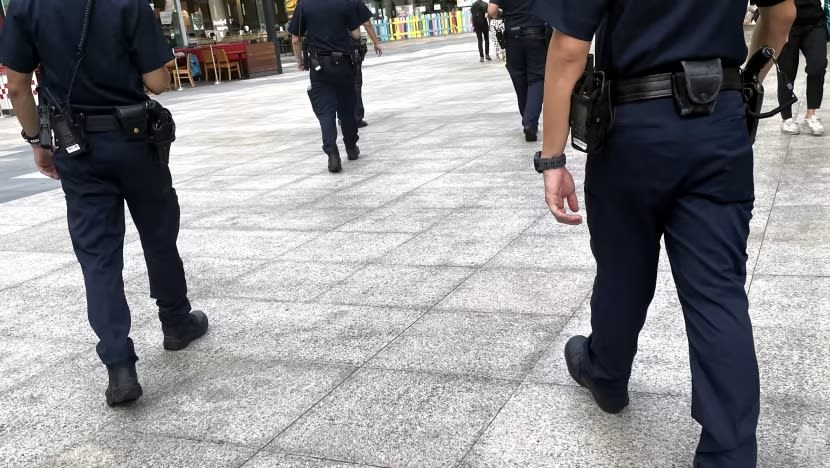 SPF tingkatkan rondaan, langkah kawalan orang ramai di Orchard Road pada malam Krismas