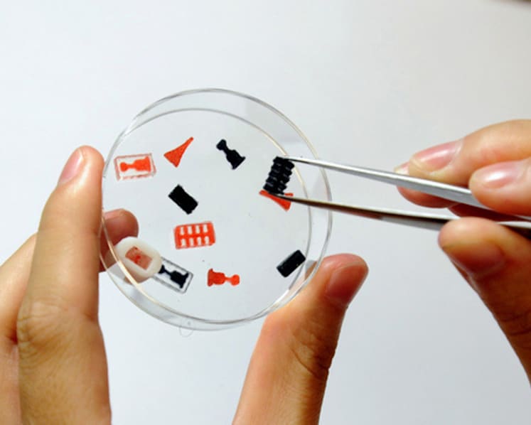 NUS develops 3D-printed customised tablets that release drugs at different rates