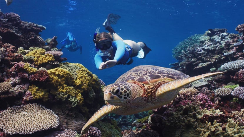Why you should visit New Caledonia, an oasis away from the bustle of daily life Why you should visit New Caledonia, an oasis away from the bustle of daily life
