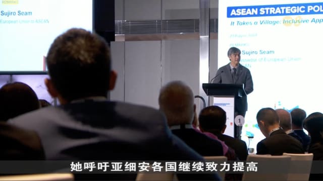 杨莉明：在管理灾害时 社会各阶层的参与至关重要