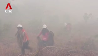 CNA Explains: Billions in haze losses raise stakes for Southeast Asia's prevention efforts