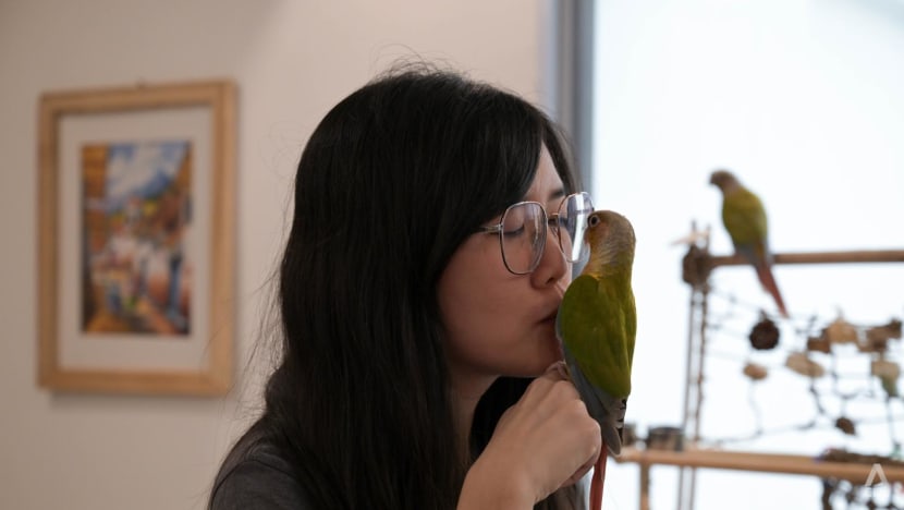 'More high-maintenance than dogs': Why some Singaporeans are spending thousands on pet birds