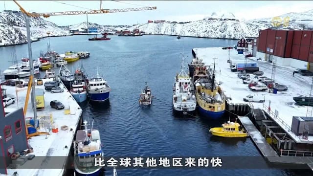 极端暖化扰乱鱼群 格陵兰经济命脉渔业受威胁