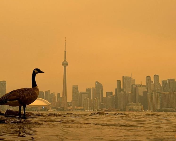 Hazardous wildfire smoke chokes millions in US, Canada