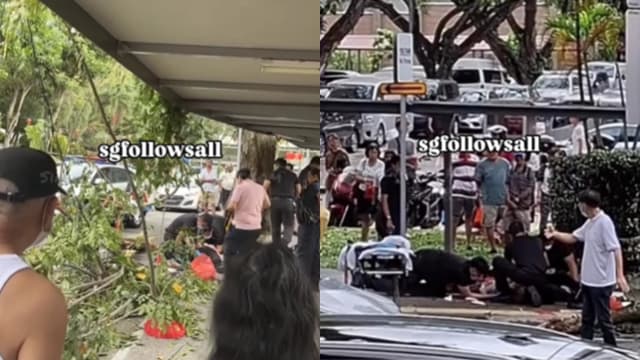 红山一带枝干掉落 女子被砸伤送院 