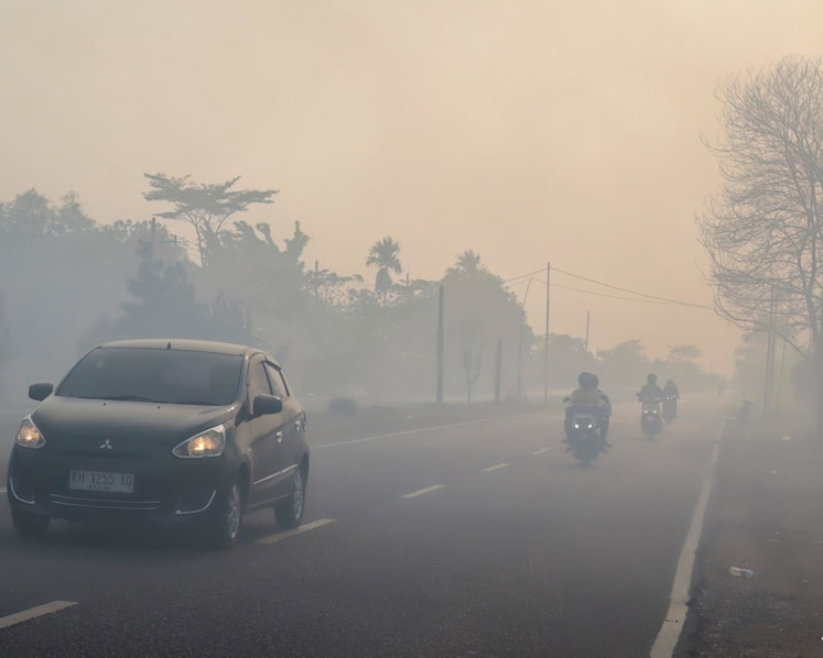 Indonesian police arrest 72 people suspected of starting forest fires
