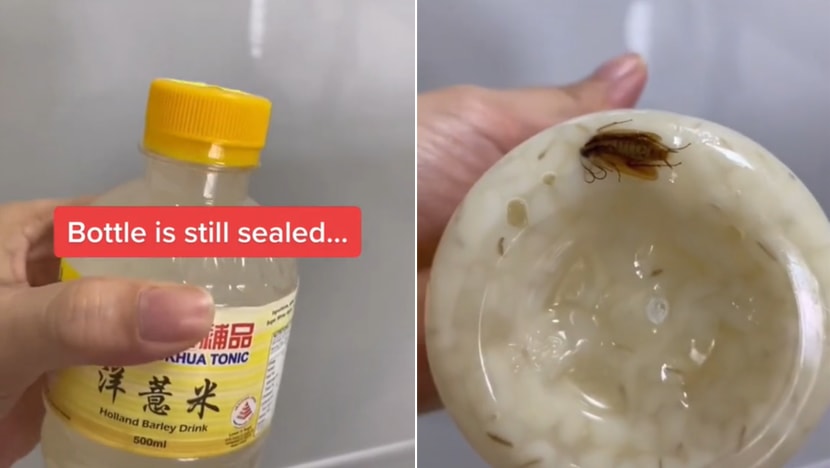Hockhua Tonic apologises after cockroach found in herbal drink bought from Sengkang outlet