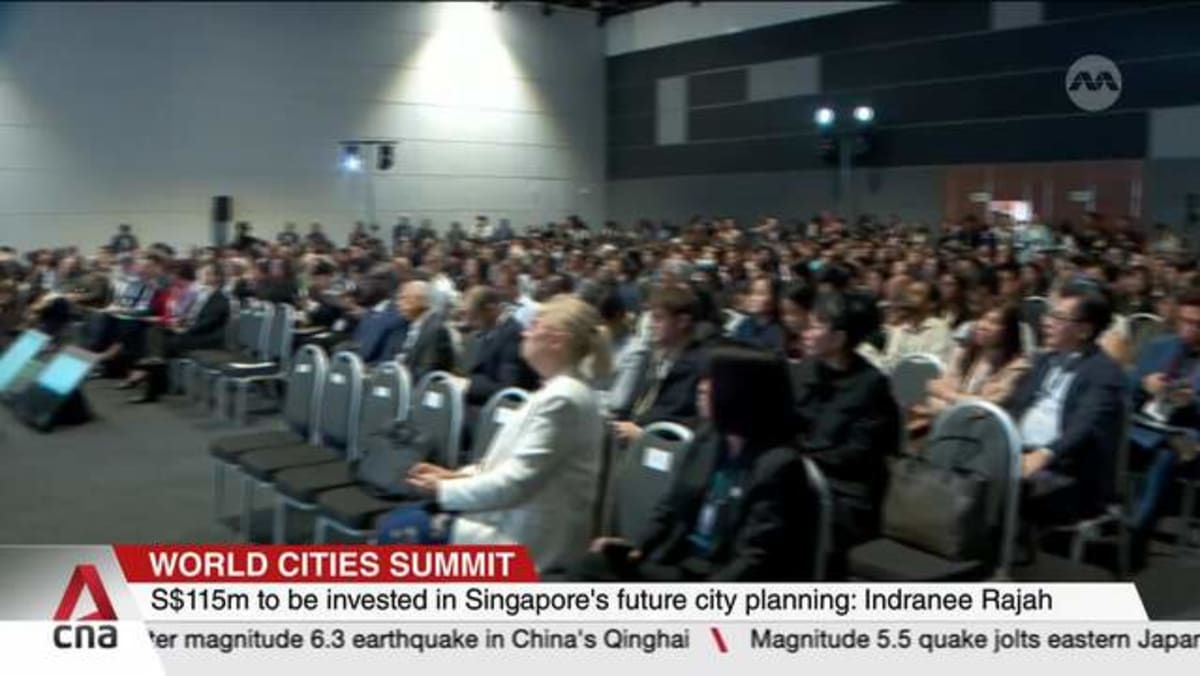 S$115m to be invested in Singapore's future city planning: Indranee Rajah