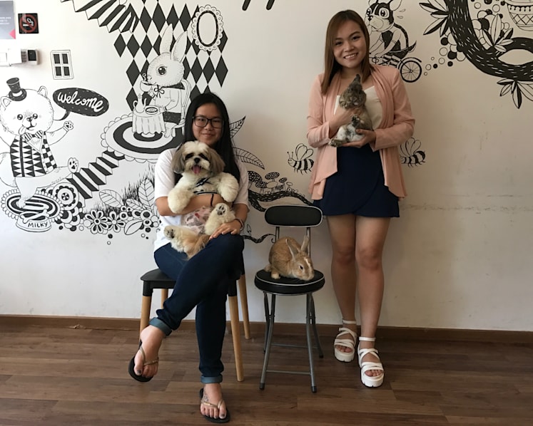 How to shoot your pet to Instagram fame