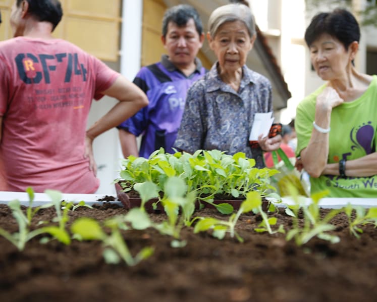 New initiative to help neighbourly ties blossom in South West District