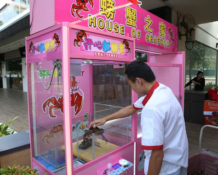 Crab ‘claw’ machine: Animal cruelty or innovative concept?