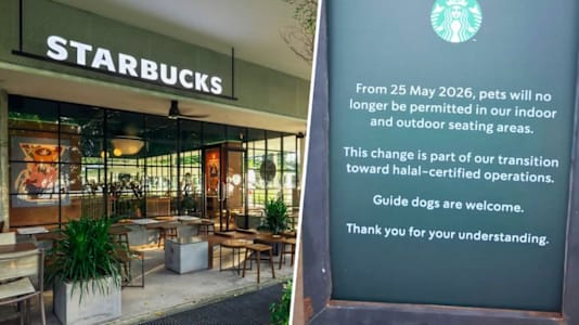 MUIS Says Starbucks S'pore Hasn’t Applied For Halal Cert, Tells It To Remove Pet Ban Sign