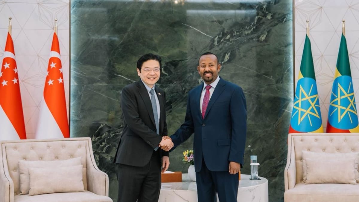Singapore to open embassy in Ethiopia’s capital, its first in East Africa
