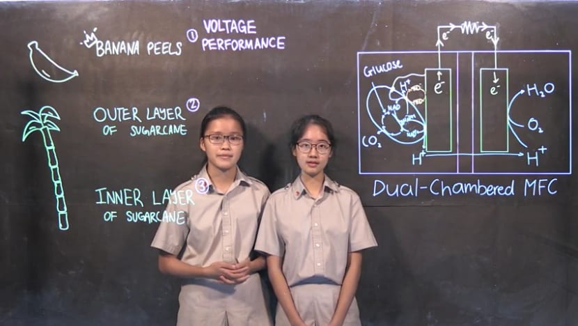 Two Singaporean students picked as finalists for annual Google Science Fair in the United States