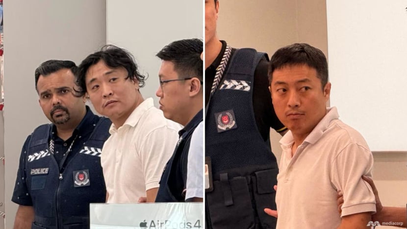 Jail for two Chinese nationals who came to Singapore for syndicated credit card fraud, but backed out Jail for two Chinese nationals who came to Singapore for syndicated credit card fraud, but backed out