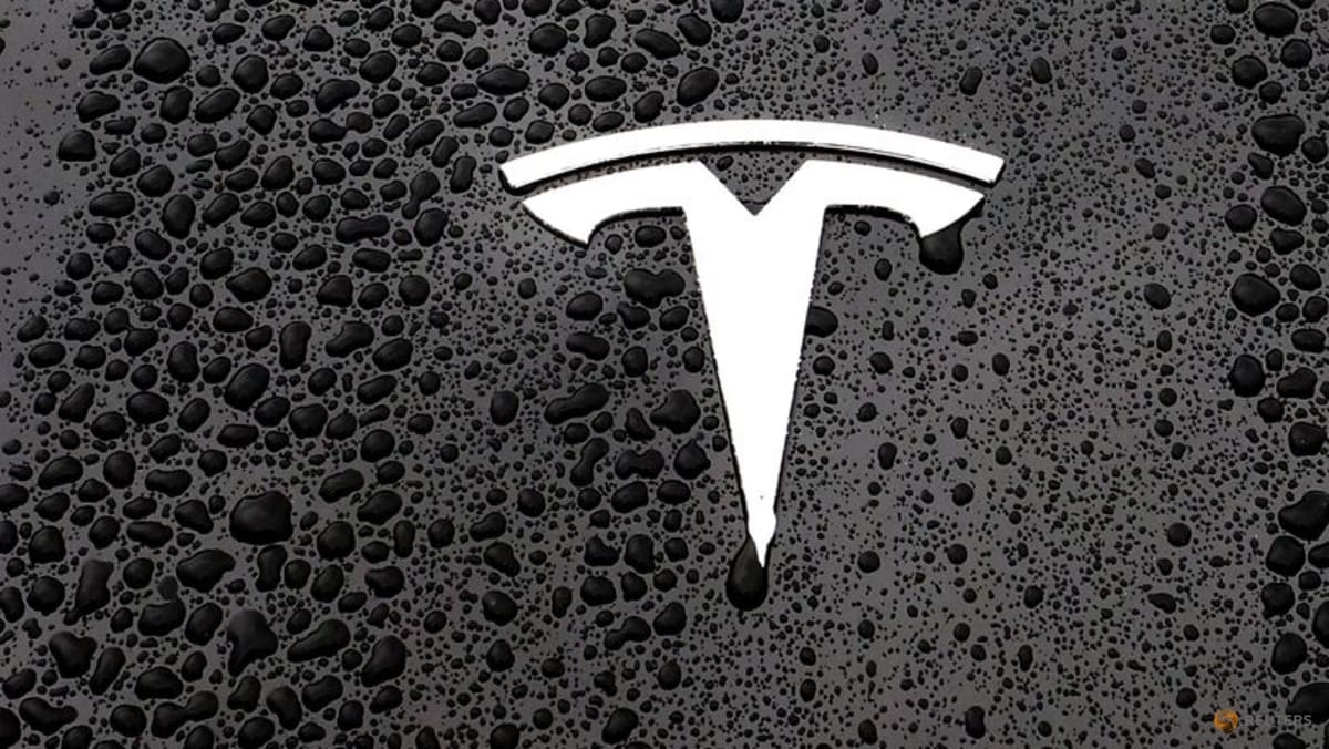 Tesla authorised to test supervised self-driving software in Belgium