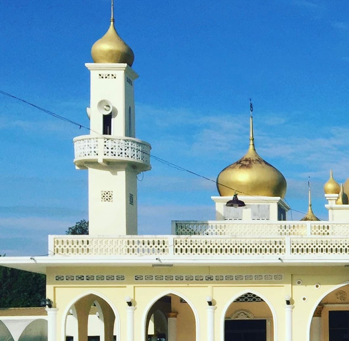 Related article image