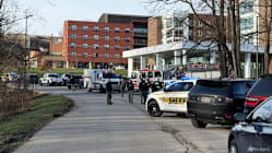 Related article image