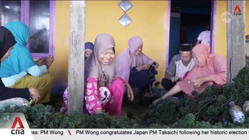 Seaweed boom rewards coastal farmers in Indonesia